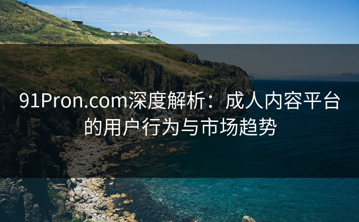 91Pron.com深度解析:成人内容平台的用户行为与市场趋势