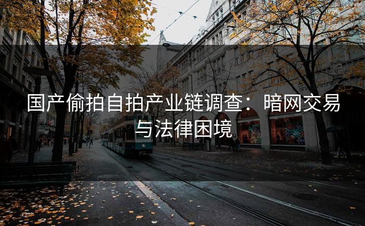 国产偷拍自拍产业链调查：暗网交易与法律困境
